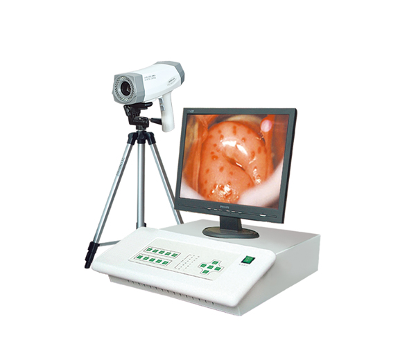 Endoscopic workstation